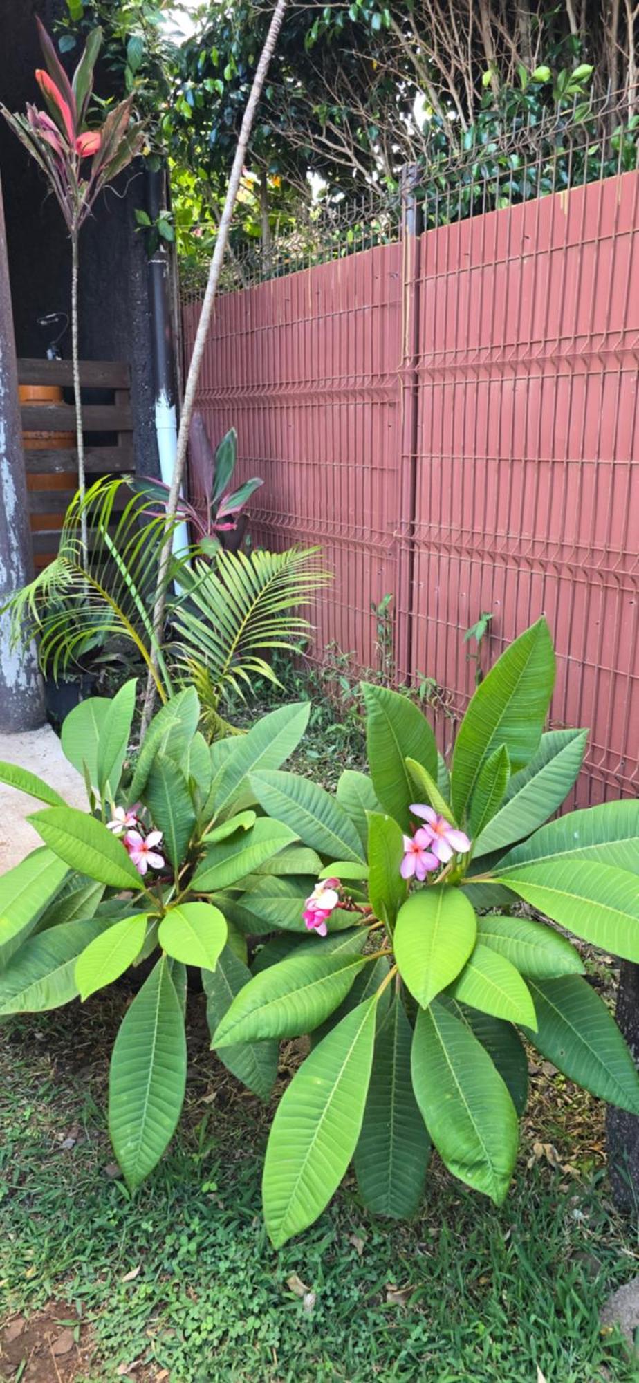 Tupuna Apartamento Hanga Roa