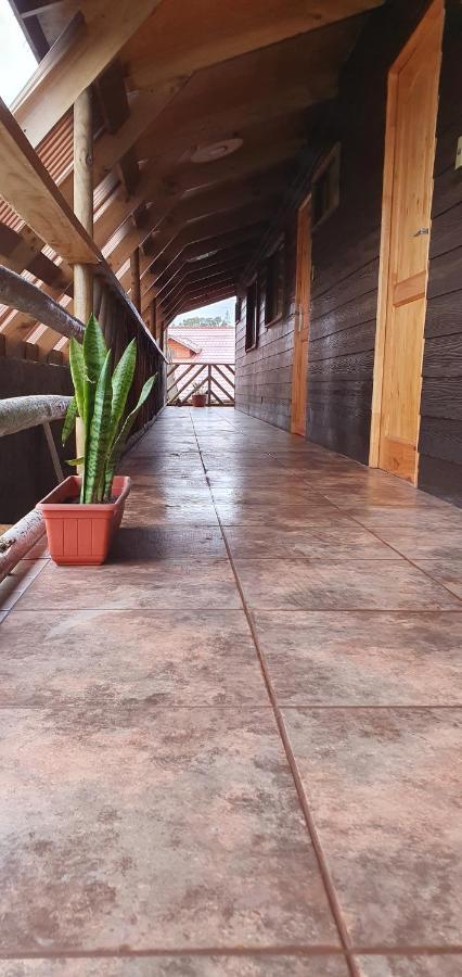 Tupuna Apartamento Hanga Roa
